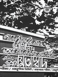 নেমিসিস (Nemesis; Paperback)